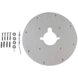 A. O. Smith 100187882 Flame Sensor with Gasket