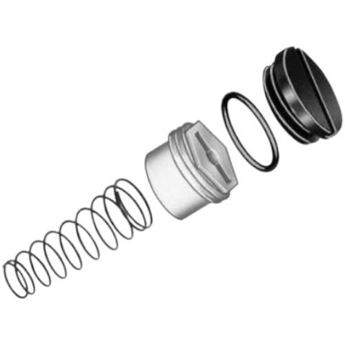 Armstrong 48G22 Valve Spring Kit, LP