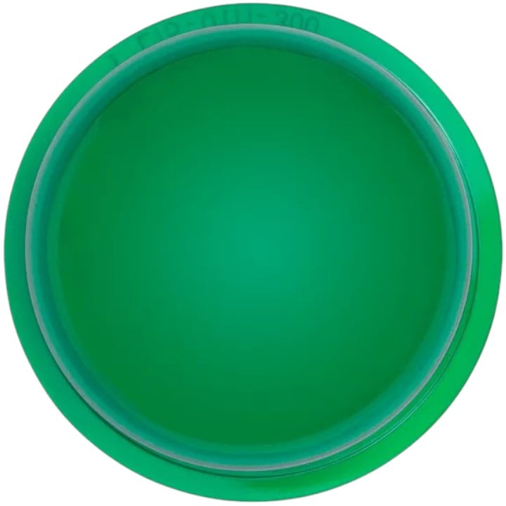 System Sensor LENS-G3 Lens LED Green Wall/Ceiling