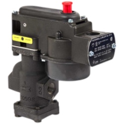 McDonnell & Miller 101A-120V Electric Water Feeder