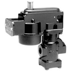 McDonnell & Miller 101A-24V Electric Water Feeder, 24V