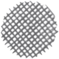 Maxitrol 13A03-3 Vent Screen, 3/8" NPT