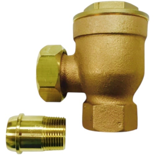 Hoffman 17C-3/4-A Trap, Steam, 3/4", 25 PSI