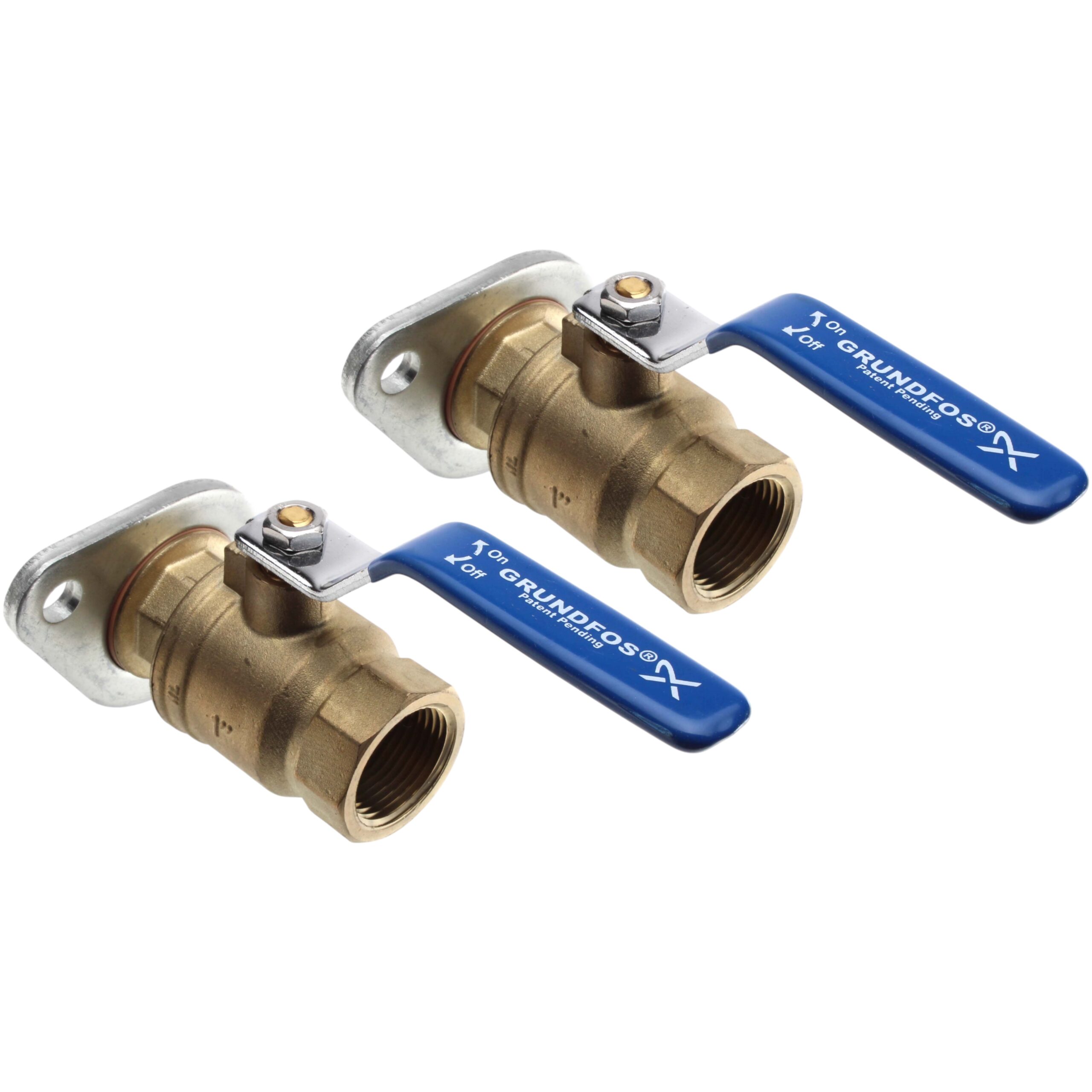 Grundfos 96806131 Isolation Valve Set, 1" Bronze, Threaded