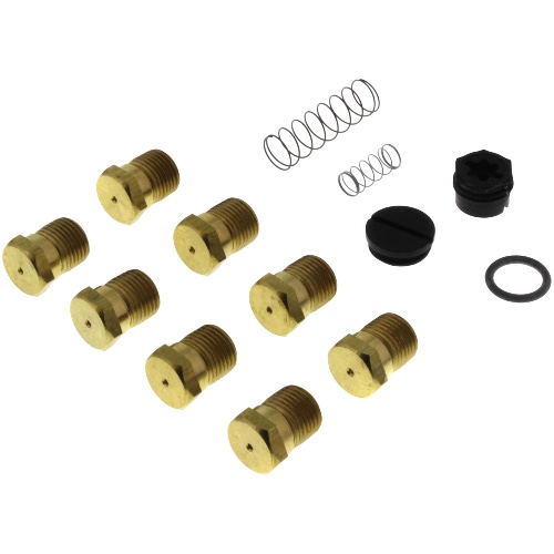Rheem FP-02 LP Conversion Kit
