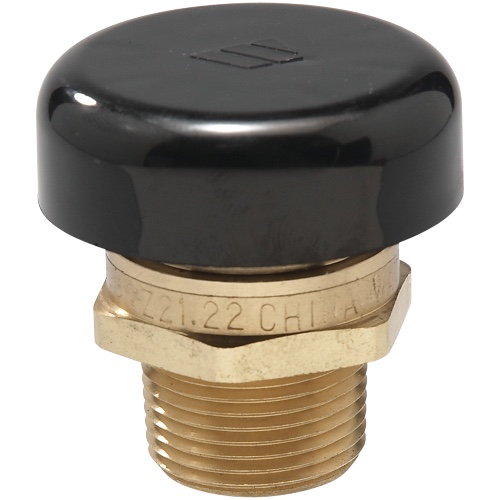 Watts LFN36M1-3/4 3/4" Vacuum Relief Valve 200 PSI Water 15 PSI Steam